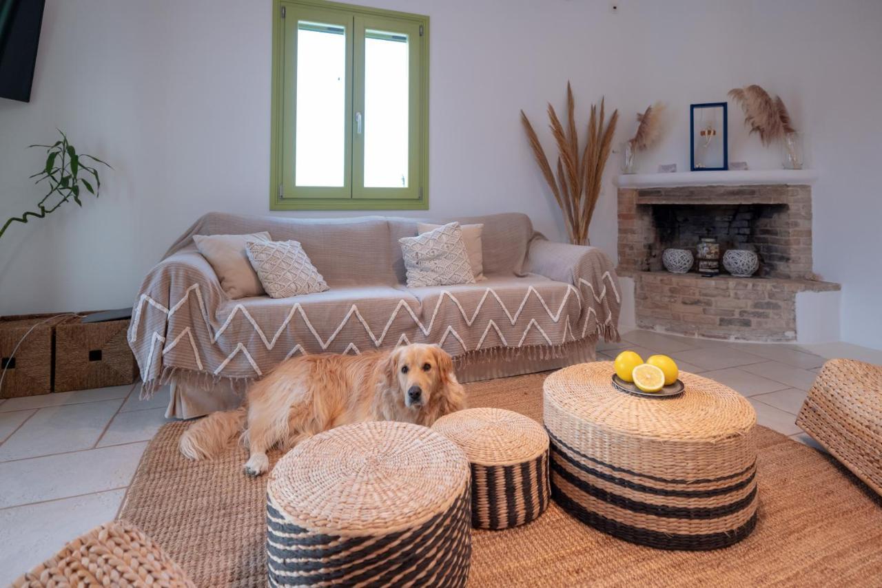 Ventu Paros Villa Márpissa Exterior foto
