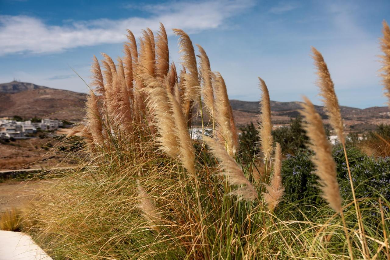 Ventu Paros Villa Márpissa Exterior foto